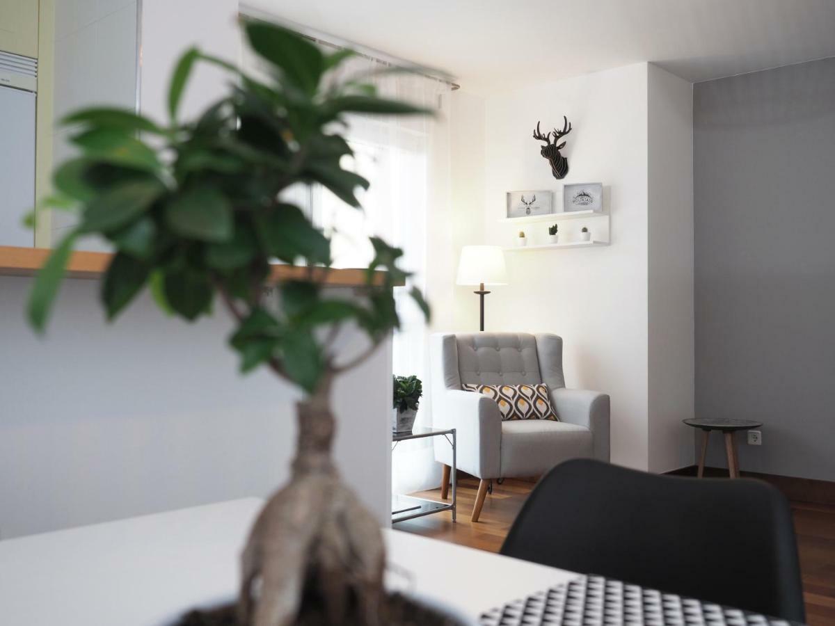 Apartamento Monte Perdido Boltaña Zewnętrze zdjęcie
